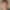 My Profile Picture