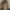 My Profile Picture